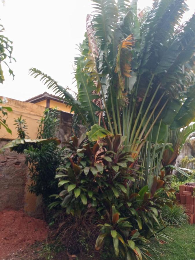 Zen Villas - Chales, Bem-Estar E Conexao Com A Natureza Lauro de Freitas Exterior photo