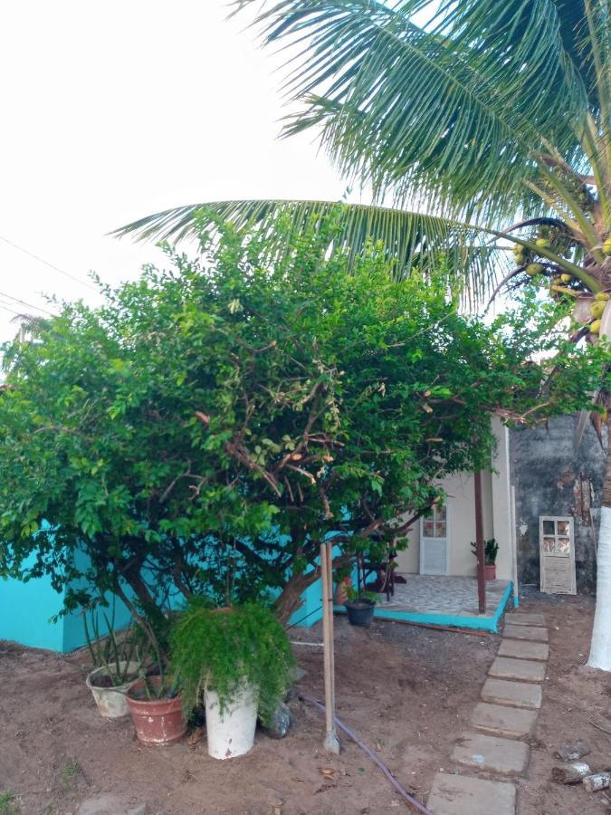 Zen Villas - Chales, Bem-Estar E Conexao Com A Natureza Lauro de Freitas Exterior photo